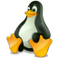 Servidores Linux